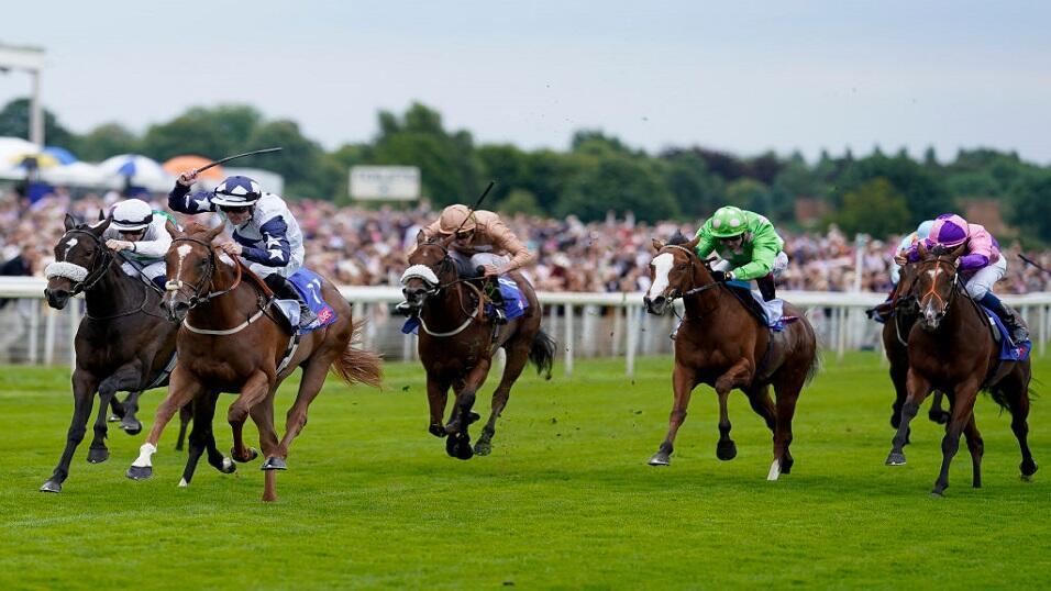 York Racecourse
